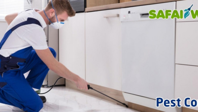 100% Affordable Pest Control Services