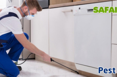 100% Affordable Pest Control Services