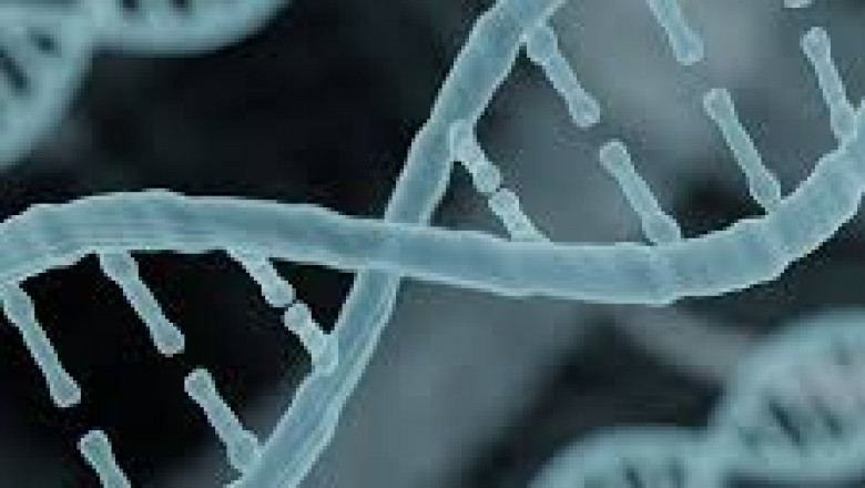 Bionics Market Analysis, Growth, Survey Report 2027 | Emergen Research