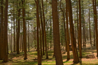 simple job interview pointers on how to not screw up your task interview