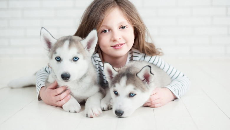 Jesse B. Esch Professional Dog Breeder of Clay Center, KS
