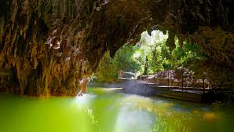 Search holiday parks in North Island