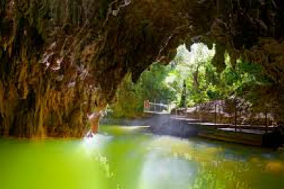 Search holiday parks in North Island