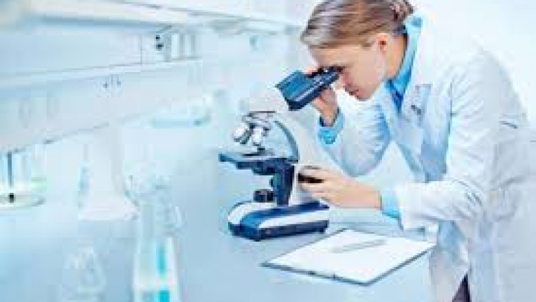 Best Late Phase Clinical Trials in Lambda therapeutic Research