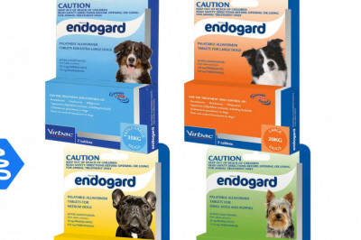 Endogard Allwormer for Dogs Worm Treatment