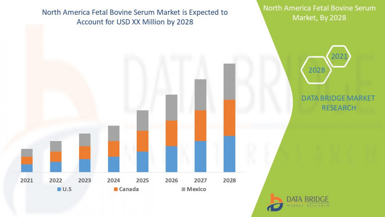North America Fetal Bovine Serum Market Size, Share, Forecast, &amp; Industry Analysis 2028