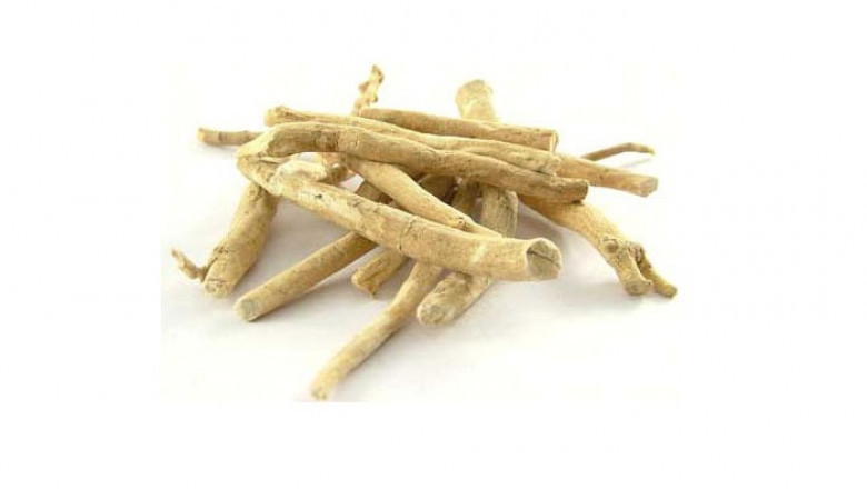 Global Withania Somnifera Extract Market Growing Popularity and Emerging Trends 2022-2027