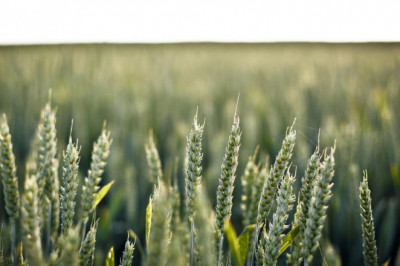 6 online communities about philoksenia istoselidon ellada you should join