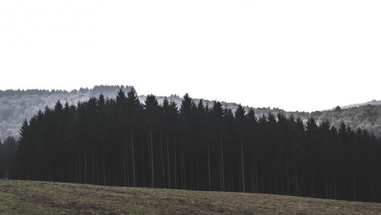 why people love to hate myip