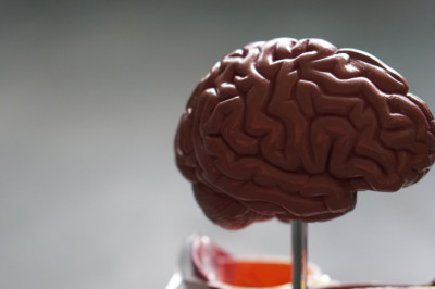 Methods to deal with traumatic brain injury symptoms