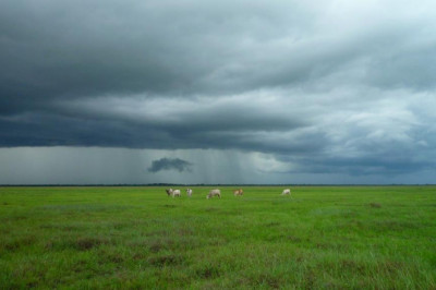 10 meetups about sell my house dallas you should attend