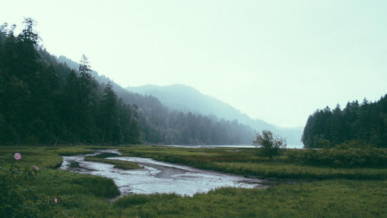 2022 landscape lighting ideas discussed by a local outdoor lighting in marietta ga