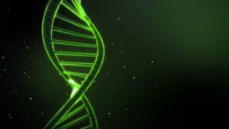 DNA Test Cost in Pune India