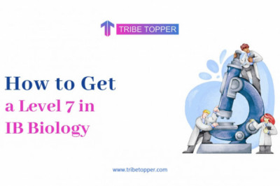 How to get a Level 7 in IB Biology