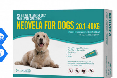 Neovela TEAL for Dogs 20.1 to 40 Kg 4 Pipettes Flea Heartworm Prevention
