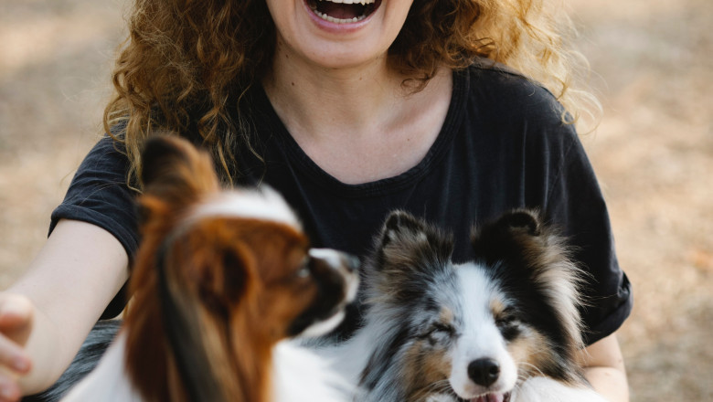 How Having A Pet Can Help With Anxiety