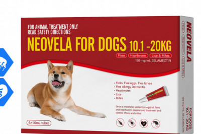 Neovela RED for Dogs 10.1 to 20 Kg 4 Pipettes Flea Heartworm Prevention