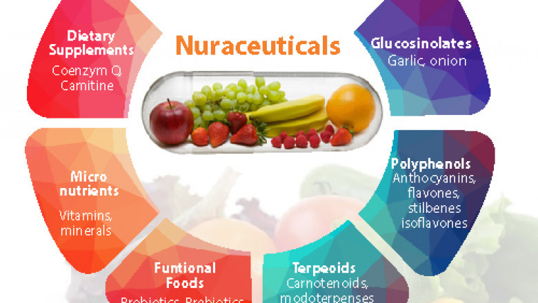Supplement manufacturing Industry