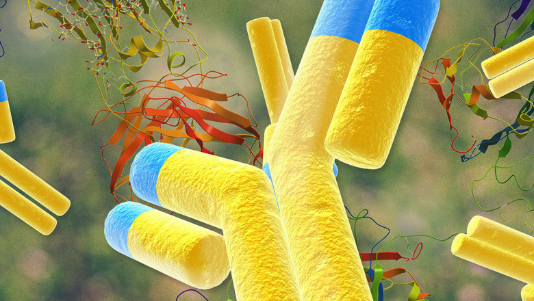 'Cell Line Development Market: Global Industry Trends, Share, Size, Growth, Opportunity And Forecast 2018-2028'