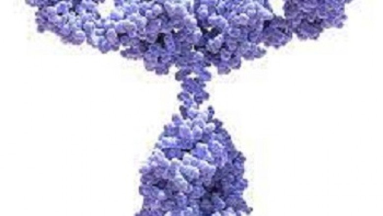 Global Immunoglobulin Market Research Report 2022 Professional Edition