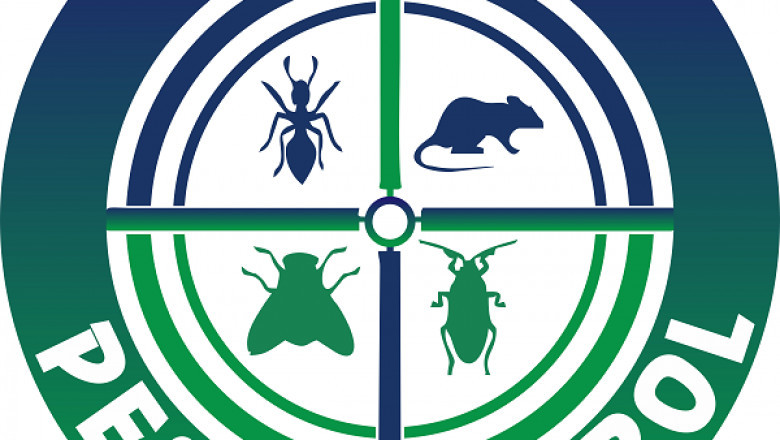 Pest Removal Company in Ottawa