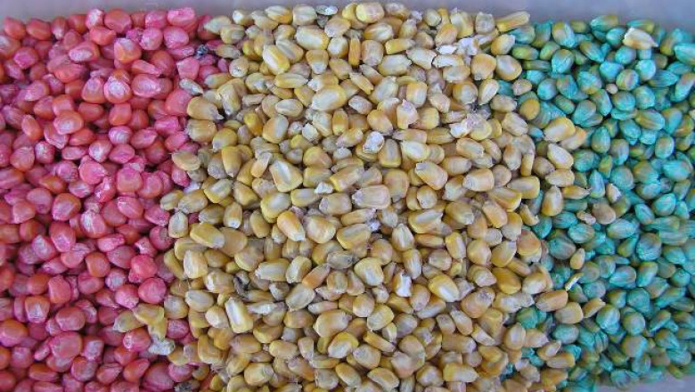 Global Insecticide Seed Treatment System Market Growth Trends and Competitive Analysis 2022-2025
