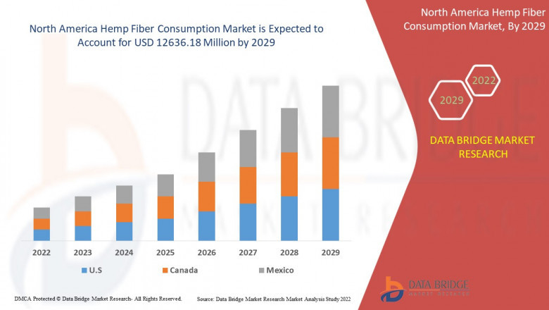 North America Hemp Fibre Consumption Markets Report 2022-2029