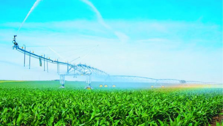 Agricultural Surfactants Global Industry Trends, Share, Size 2022-2025