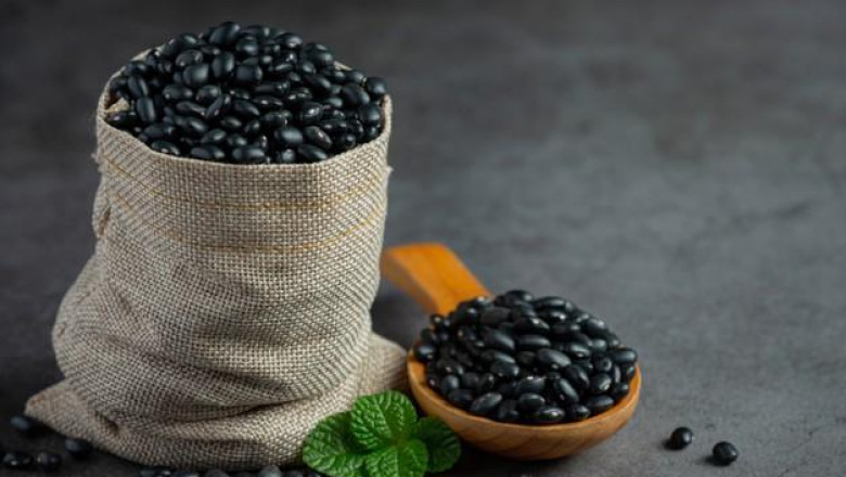 Global Feed Phytogenics Market Industry Research Report, Growth Trends and Competitive Analysis 2022-2025