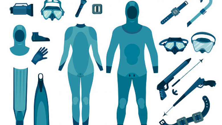 Global Spearfishing Gear Market Size, Share, Growth 2022-2025