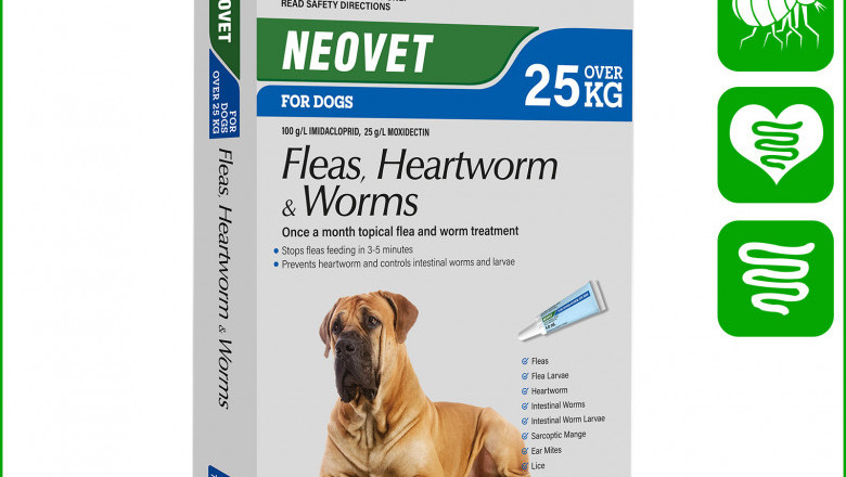 Neovet for Dogs Over 25 Kg BLUE Flea Heartworm Worm Treatment