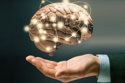 Self-Reflection on Leadership and Followership