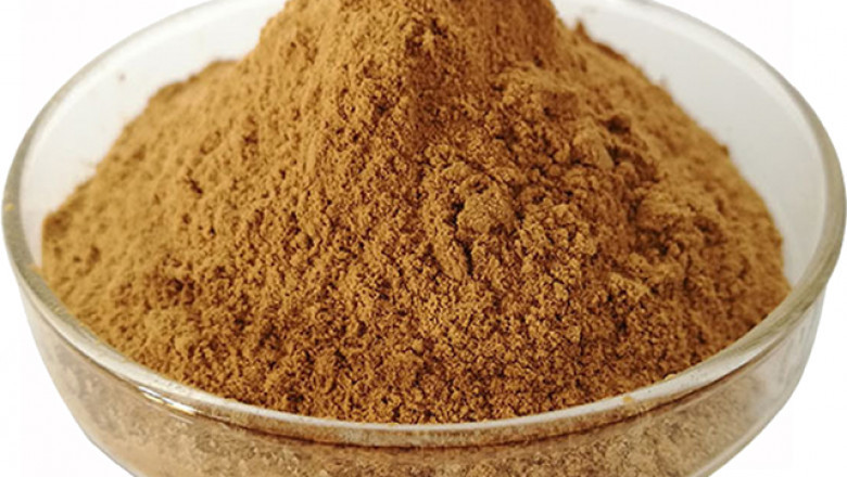 Sheep Rhizobium-based Biofertilizer Market Global Analysis by Share, Trend 2022-2025