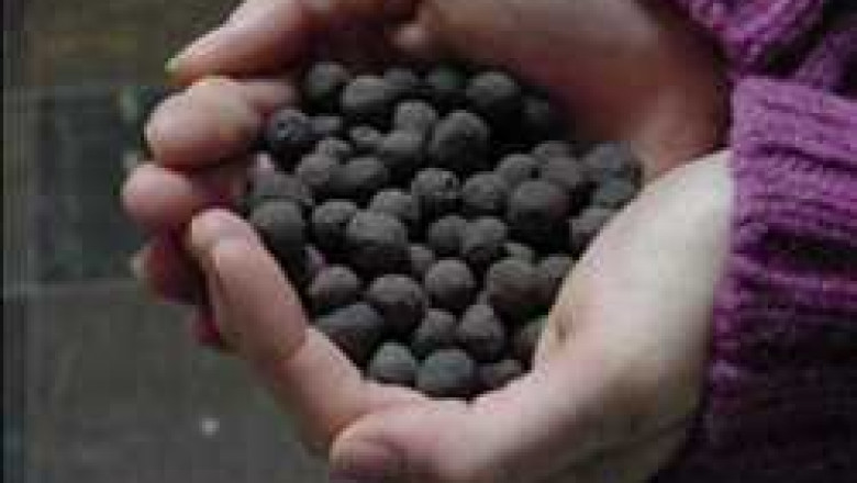 Research Report on Iron Ore Pellets Market Size 2022-2028 Industry Share and Demand Analysis of Key Players