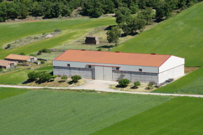 Top 5 Benefits Of Steel Buildings For Agricultural Use