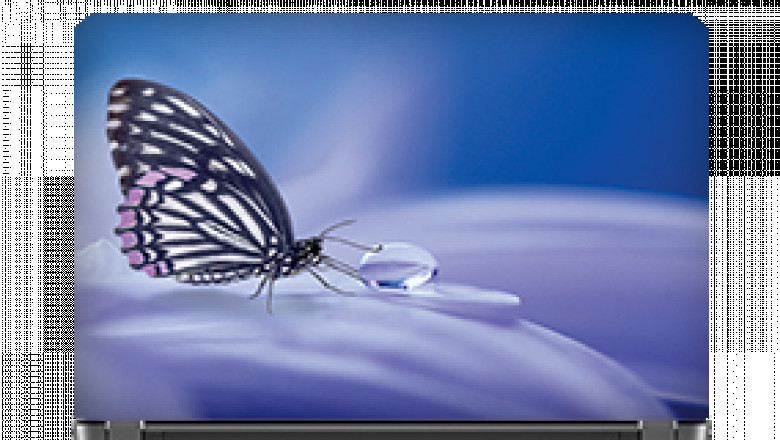 Enhance Your Laptop’s Looks With A Laptop Skin