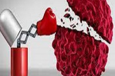 Immunotherapy Drugs Market Growth 2022 : Movements by Key Findings, Industry Impact, Latest Trend Analysis, Progression Status, Revenue Expectation to 2028