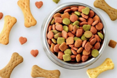 Pet Food Market to Surpass Valuation of USD 163 Bn by 2028