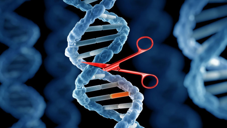 Preimplantation Genetic Diagnosis for Mendelian Disorders