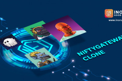 Elevate the digital business by launching the unique Nifty Gateway Clone