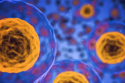 Microbiology | College of Medicine Alfaisal University