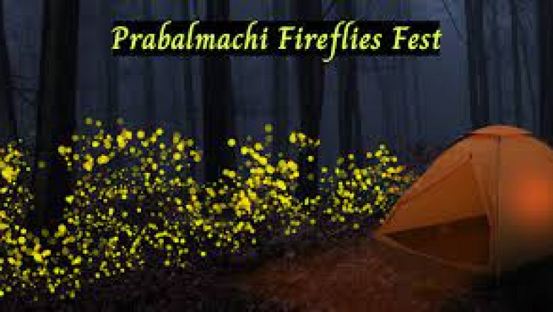 Prabalmachi Fireflies Camping & Trekking