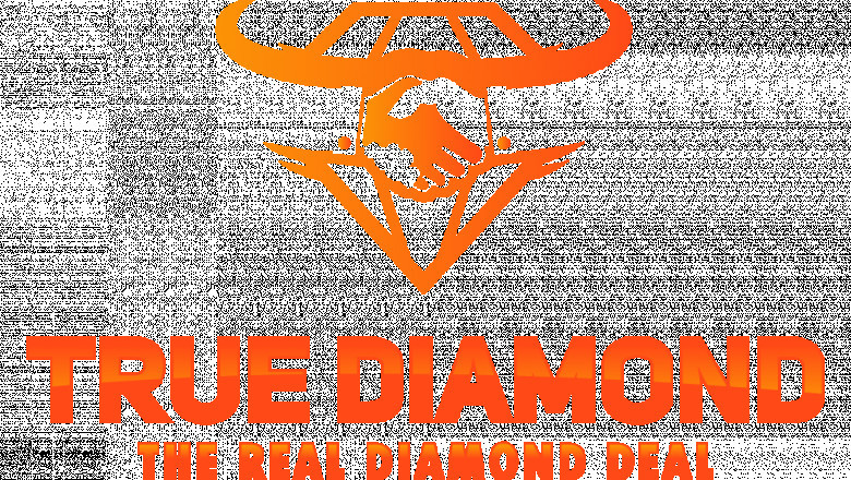 True Diamond: New York SEO Services | NYC SEO & Long Island SEO Company