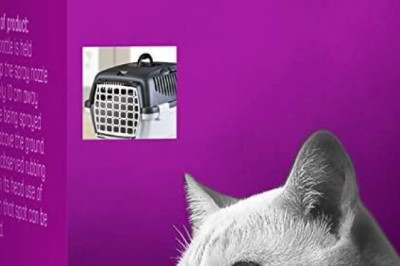 Feliway Spray for Cats 60 ml