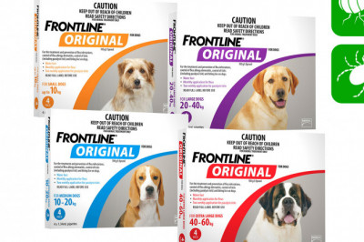 Frontline Original for dogs is an effective flea and tick treatment.