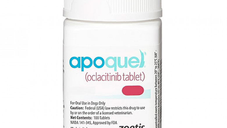 Buy Cheapest Apoquel For Dogs | BudgetVetCare.com