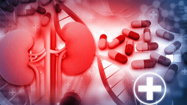 Cardiovascular Drugs Market Regional analysis