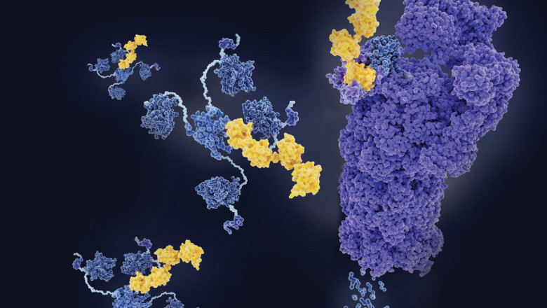Exponential spur of growth in Targeted Protein Market