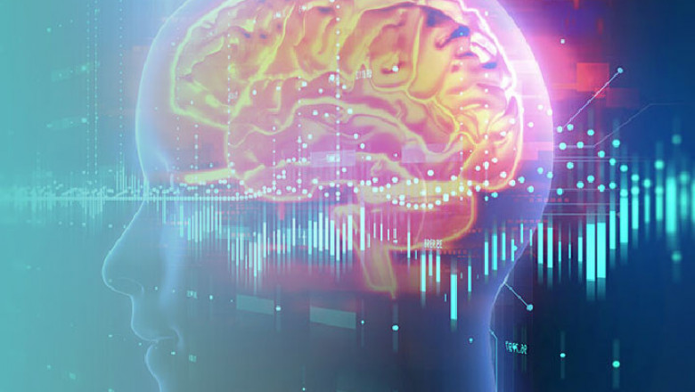 Fix your Brain Program