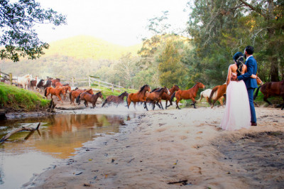Engagement Party Decorations Sydney